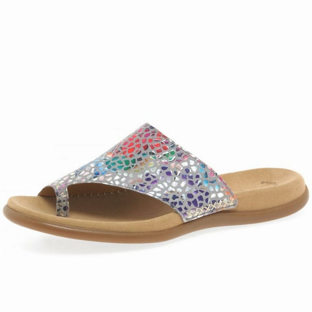 Mules Gabor Lanzarote Printed Toe Loop Femme Grise Fleur | AVSC-02931