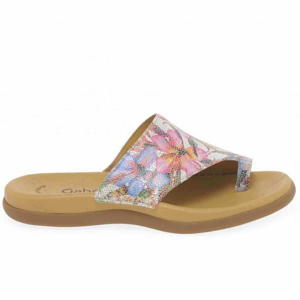 Mules Gabor Lanzarote Printed Toe Loop Femme Fleur | CVZU-06924