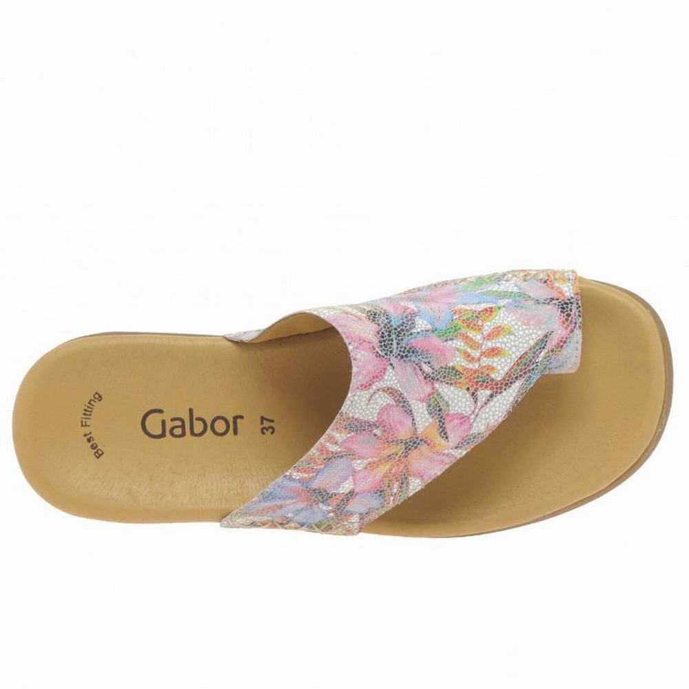 Mules Gabor Lanzarote Printed Toe Loop Femme Fleur | CVZU-06924