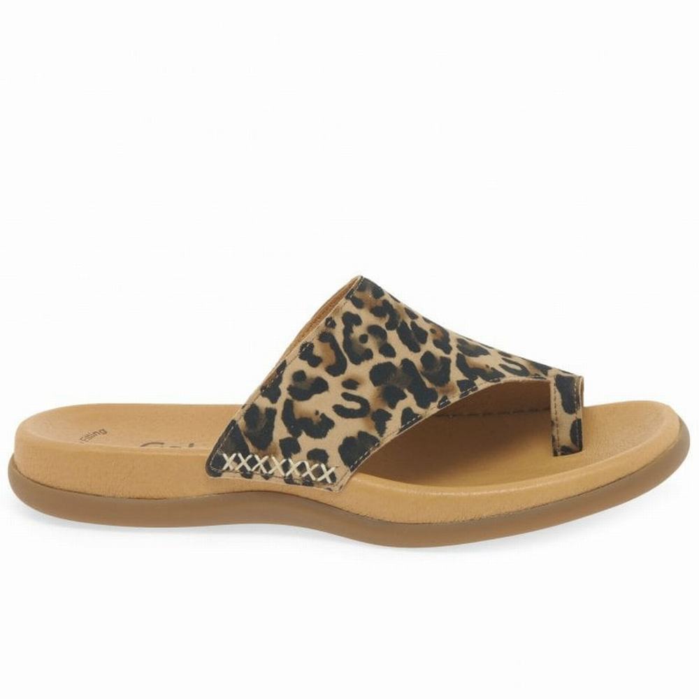 Mules Gabor Lanzarote Printed Toe Loop Femme Beige Leopard | TKCV-74160