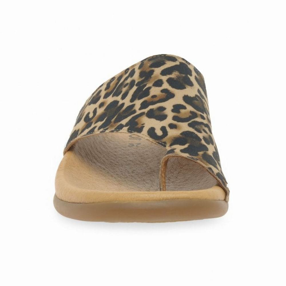 Mules Gabor Lanzarote Printed Toe Loop Femme Beige Leopard | TKCV-74160