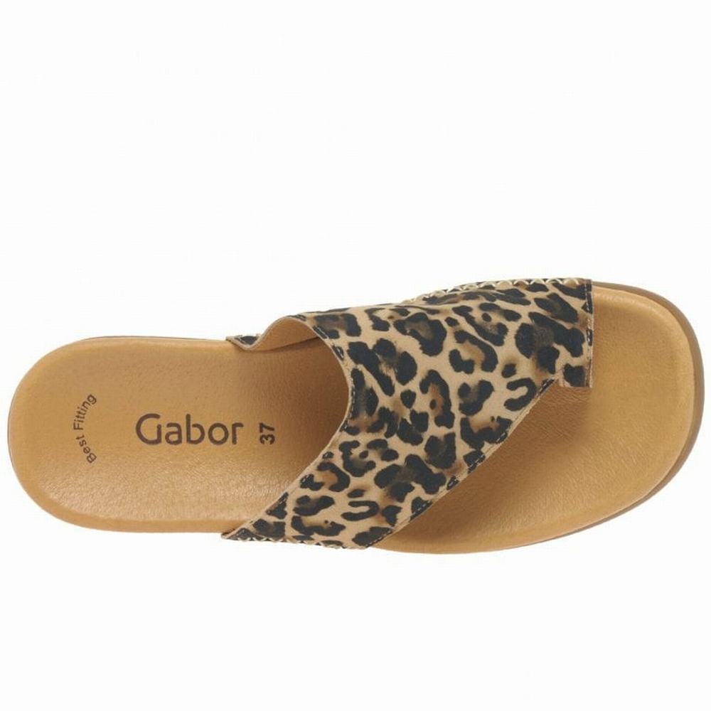 Mules Gabor Lanzarote Printed Toe Loop Femme Beige Leopard | TKCV-74160