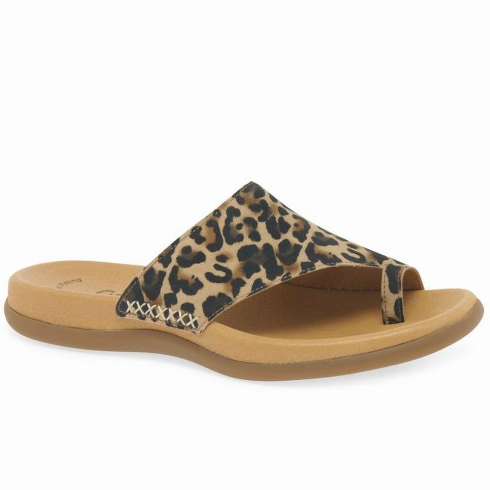 Mules Gabor Lanzarote Printed Toe Loop Femme Beige Leopard | TKCV-74160