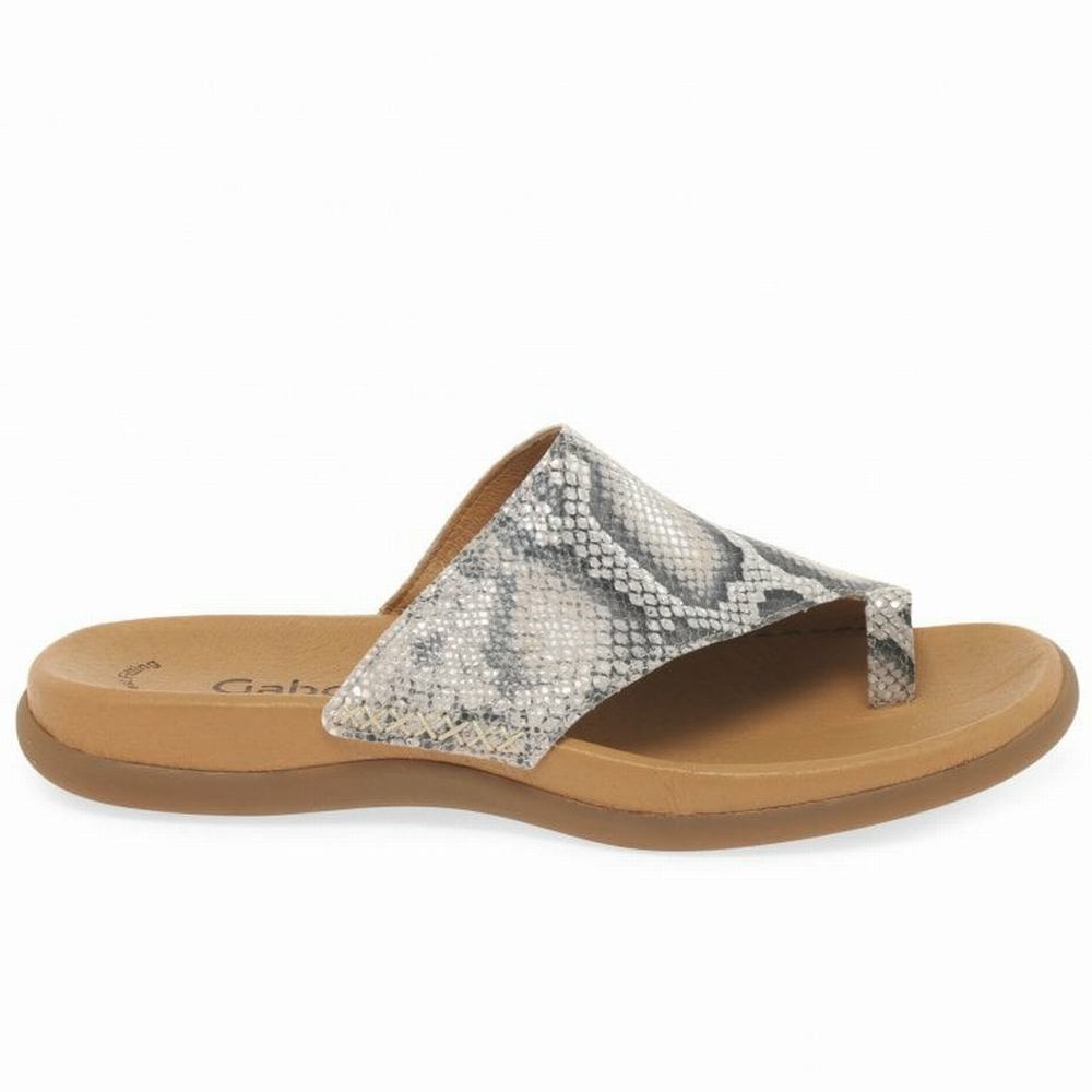 Mules Gabor Lanzarote Printed Toe Loop Femme Beige Serpent | KTJP-05867