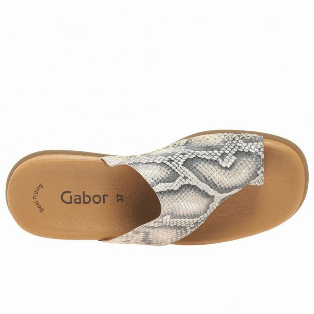 Mules Gabor Lanzarote Printed Toe Loop Femme Beige Serpent | KTJP-05867