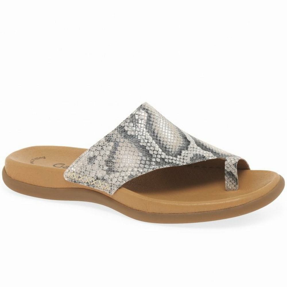 Mules Gabor Lanzarote Printed Toe Loop Femme Beige Serpent | KTJP-05867